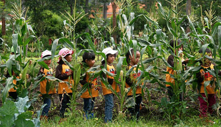 outbound bandung outbound di bandung